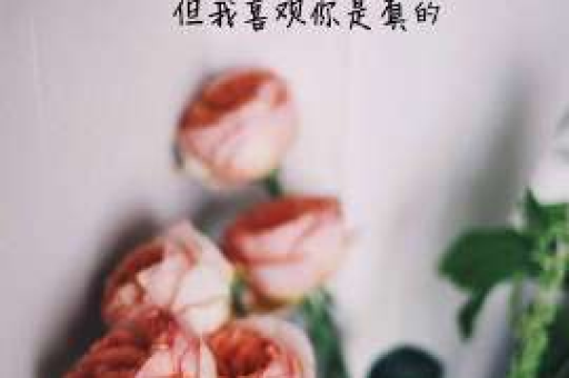错过爱情怎么挽回女朋友 错过爱情怎么挽回女朋友