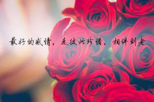 前夫出轨,前妻挽回了我,我该怎么办? 前夫出轨,前妻挽回了我,我该怎么办?
