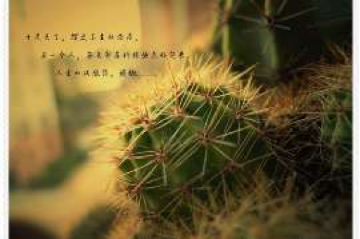 网上那些帮助挽回情感的策略:现实与虚拟交织的情感纠葛 网上那些帮助挽回情感的策略:现实与虚拟交织的情感纠葛