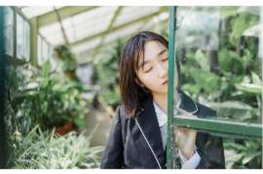 挽回爱情的狗粮品牌有哪些？甜蜜心意，让爱情重新焕发光彩